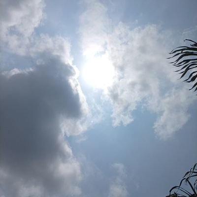 Bint58's profile picture. Medical Student 🩺❤️
God cures Doctors Cares⚕️