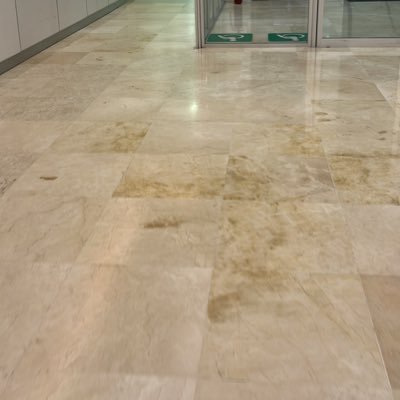 Buscador42987's profile picture. 