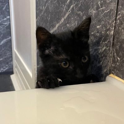 LonVp05's profile picture. L 🆓 🗝 @Nh6lG