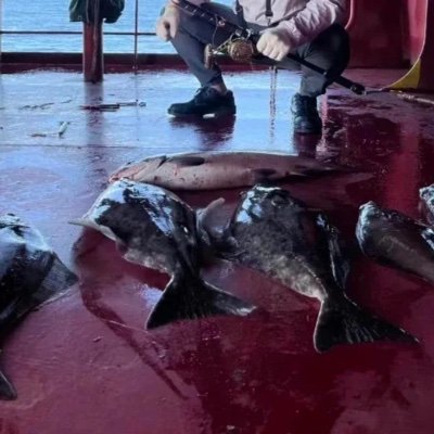 BobJoe8788011's profile picture. 