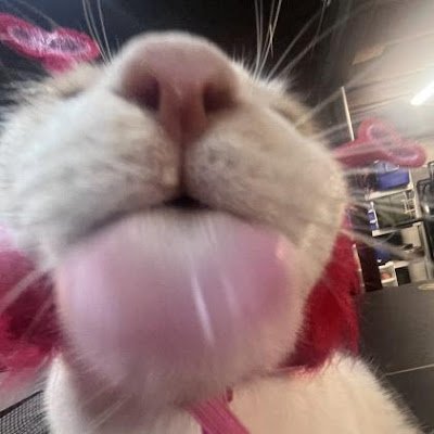 hi follow me on the better app at https://t.co/89cE2hTNZN bubble bass stans DNI.