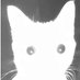 Wyatt (@seebsipoo) Twitter profile photo Wyatt (@seebsipoo) Twitter profile photo