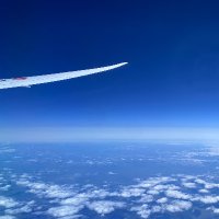 回 (@ef81141) 's Twitter Profile