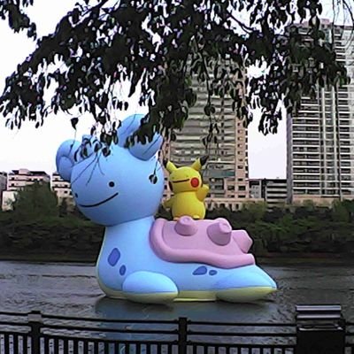 whileimswimming's profile picture. 이또한 지나가겠지