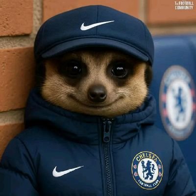Majorit10521720's profile picture. Tactical Analyst | Chelsea FC
Breaking down games, players & systems
The Bridge is home | #CFC #Chelsea
DMs open for collabs