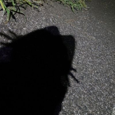 hiji0v0ri's profile picture. ＼　🌸📖　／
ぶーすとを応援！絡み垢❁⃘*.ﾟ