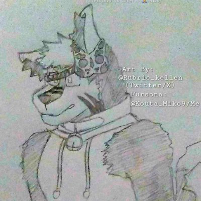 I'm Miko/狐歌ミコ a 𝙨𝙝𝙮 furry who is a kitsune that ✍️✏️, I use this alt to admire other furries, artists, musicians, & cool people. My art is on my main