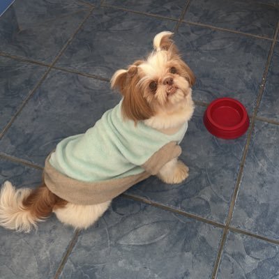 julinha4e20's profile picture. bom dia população