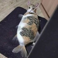 pinkyprincess445 (@kittenguardian) 's Twitter Profile