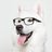 MickyDWolf's profile image