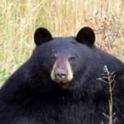 eggznchee's profile picture. 