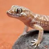 vpsfree5111's profile picture. 