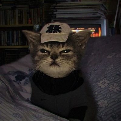 _Akuma160's profile picture. † 19y  
† Mx at home