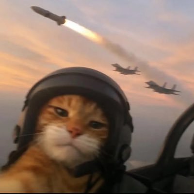 PlainRook's profile picture. ♟️🤴