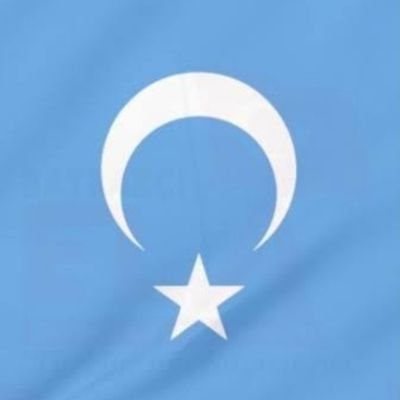 مەن جۇڭگولۇق ئەمەس. مەن ئۇيغۇرلارنىڭ ئىنىسى. مېنىڭ مەقسىتىم ئۇيغۇرلارنىڭ ئاۋازى بولۇش. ئەمما ، مەن بۇنىڭغا ئىشەنمەيمەن. ئۇيغۇرلار مەندىن قېچىۋاتىدۇ.