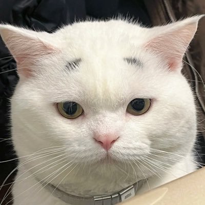 Sparnnnnn's profile picture. :) รอยยิ้มในทุกๆ วัน และตลอดไป 🐺🐱( #ซนซน 💙🧡 #ZeeNuNew ) #NanaNu 🫶🏻🌷#Zunshine 🫶🏻🌻 13/04/22