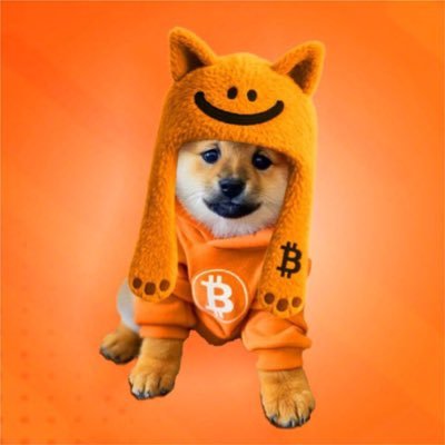 Astro $DOGさんのプロフィール画像