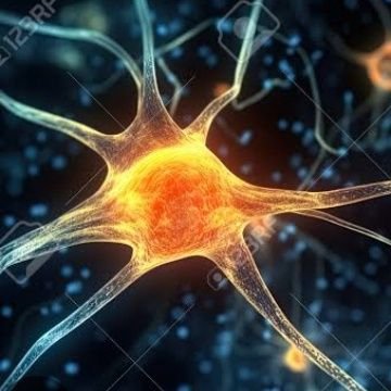 Neuro_bio_Nerd's profile picture. You are because you've neurons