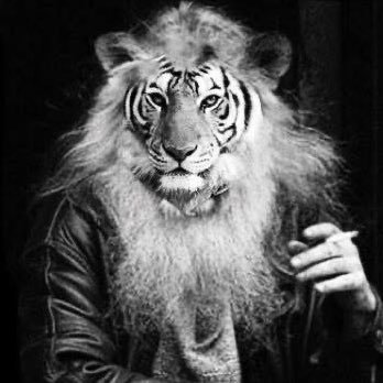 __TGR's profile picture. -Account closed☠️and transition to @al__tiger There is someone ready to fight for Because........!