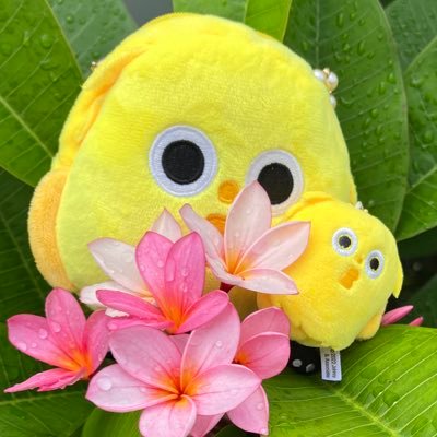 ekoriko1977's profile picture. 夢日記を記録(o^^o) 乃木坂46冨里奈央さん推し、5期生推しです♪2024年〜キスマイ玉森裕太さん担、箱推し☆彡キスマイ皆大好き https://t.co/zX7agw4Hp1