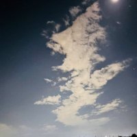 ちゃちゃ VAWS (@tyatyann_vaws) 's Twitter Profile