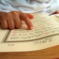 Mohammed Zainob (@moham97275) 's Twitter Profile