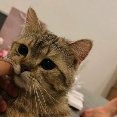 hi!👋