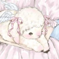 Ი︵𐑼 (@kvte_com) 's Twitter Profile