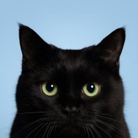 minminmin (@g7mctrncdeogmip) 's Twitter Profile
