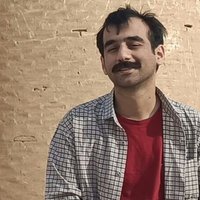 Ali Gholami (@thedudeofwoods) 's Twitter Profile
