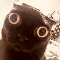 Vlyhaa | ᴳᵃᵖʸᵉᵃʳ'²⁵ (@vlyhaa) 's Twitter Profile