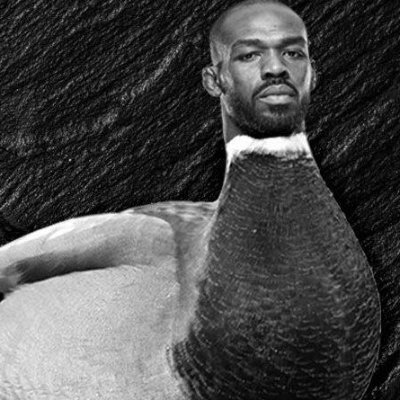 Jiggirooni's profile picture. Jon Jones is a Gay Duck.
Wrastlin. Bret and Owen 4 life.