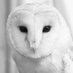 Ω (@68616c63796f6e) Twitter profile photo Ω (@68616c63796f6e) Twitter profile photo