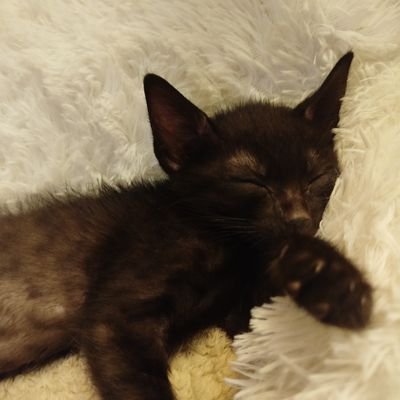 neant_ab's profile picture. 