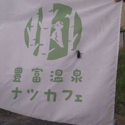 14歳の重度アトピーっ子の母。
北海道豊富(とよとみ)町の空気に惚れ込み、2024年9月、一家で温泉湯治留学移住。
豊富温泉で焼き芋を焼きたい!という夫と、ゆるっとごはんやおやつを出す夏カフェに、チャレンジ中♪