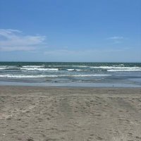 pipi (@pipi13262040) 's Twitter Profile