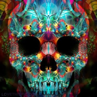 BULLYBASSETT's profile picture. The DAO is King