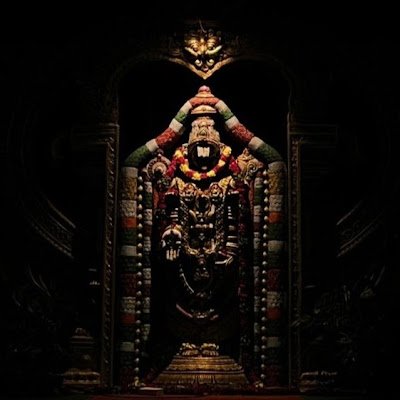 chikki0804's profile picture. 