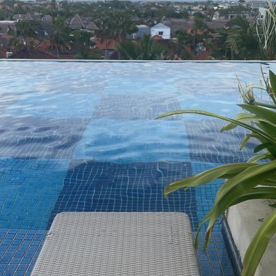 vydn16's profile picture. Crypto enthusiastic