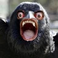 TheMadM28657970's profile picture. 