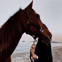 Renad ๐ธ๐ฆ (@imrd10_) 's Twitter Profile