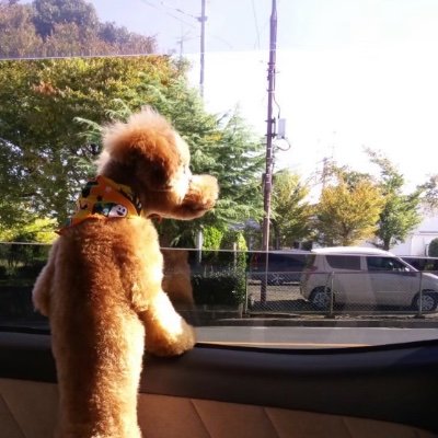 do_5132's profile picture. KG 情報 /web / Tech.Uni