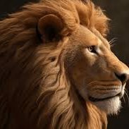 REszKHpa6qVCscL's profile picture. An ancient castle with a rich history and intriguing legends.