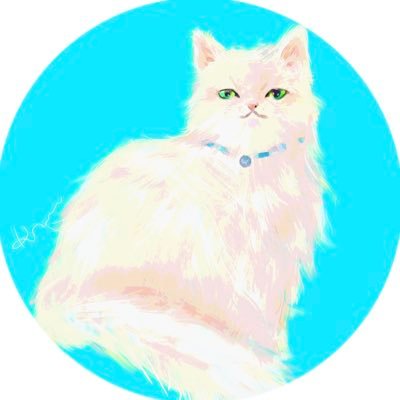 🩵うちの猫が宇宙一かわいいbot🩵趣味雑多とてもてきとう げーむ/お花/水色/音楽/アクアリウム/花火/すきなもの色々 🫠虚弱体質🫠緊急分身⇨@noel_cat_119