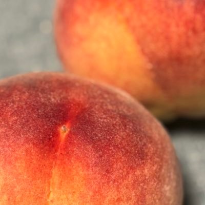 ISCxKGJ2Ke12003's profile picture. 