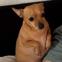 Daniel Saxton (@sharlaanddaniel) 's Twitter Profile