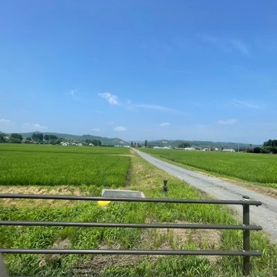 roku524871's profile picture. 20代社会人です。推し政党の応援アカウントを作りました！/チームみらい/国民民主党/その他にも気になった色々を呟きます