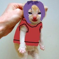 it's never #nagireover (@gracklescackles) 's Twitter Profile Photo it's never #nagireover (@gracklescackles) 's Twitter Profile Photo