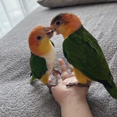 ちぃ🎯🍏