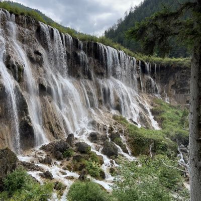 NeeTrumbo's profile picture. 